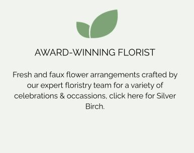promo_silverbirch