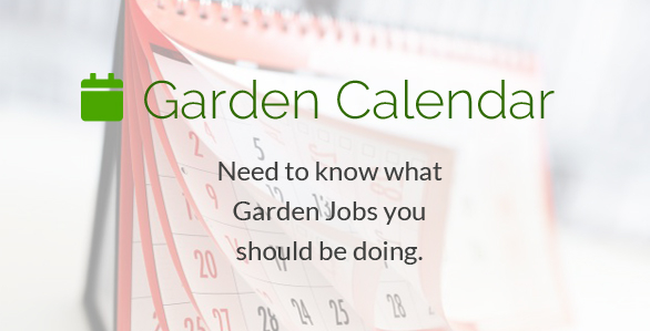garden calendar