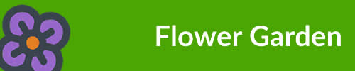 Flower Garden