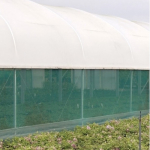 White UVI Polysheet 15 x 40m