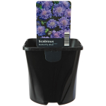Square Round Pot 2L