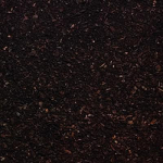 Melcourt Growbark&reg; Pine