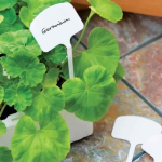 T Labels