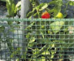 All Purpose Mesh Green 5m x 1m Green