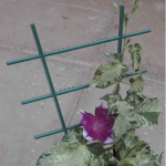 Plant Trellis 15 x 25cm