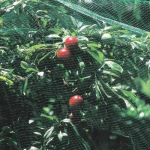 Plant Protection Net 2m x 8m