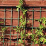 Climbing Plant Support Mesh 0.5 X 5m