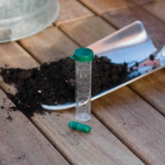 Soil Check