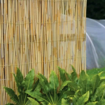 Screen Reed 2.0m x 4m