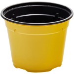 Duo ® 8� Low Pot 13cm