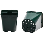 Square Round Pot 7 x 7 x 8.3cm