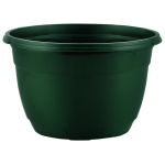 Hanging Basket 20cm + 33cm Hanger Pine Green