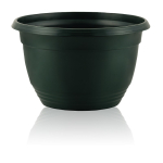 Hanging Basket 30cm + 60cm Hanger Pine Green