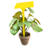Angled Head Display Label 27cm - Yellow