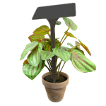 Angled Head Display Label 38cm - Black