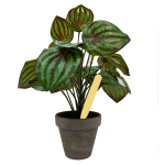 Pot Labels 10cm - Beige