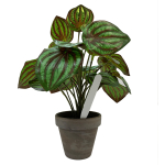 Pot Labels 15cm - White