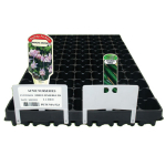 Tray Label - 8cm White