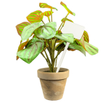 Flat Head Display 'T' Labels 15cm - White