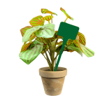 Flat Head Display 'T' Labels 15cm - Green
