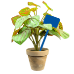 Flat Head Display 'T' Labels 15cm - Blue