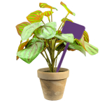 Flat Head Display 'T' Labels 15cm - Purple
