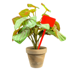 Flat Head Display 'T' Labels 15cm - Red