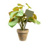 Flat Head Display 'T' Labels 15cm - Grey