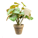 Flat Head Display 'T' Labels 15.5cm - White