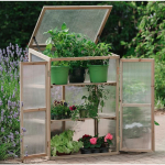 Westland Wooden Growhouse