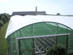 XL Sunmaster Clear Polysheet 14 x 16m 150mu