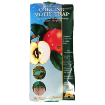 Codling Moth Trap (Apple Maggot Control)