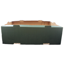 Plain, Rigid Lettuce Box