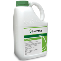 Instrata Elite
