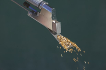 Engrow Fertil Five Applicator