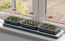 Garland Trio Top Electric Windowsill Propagator