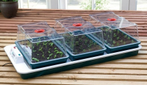 Garland Big 3 Automatic Temperature Control Electric Propagator