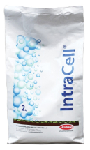 Intracell