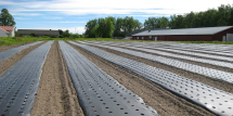 Gro-Clean Bio-Mulch 1.5 x 1000m