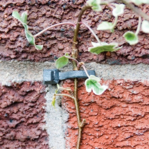 Lead Headed Nails