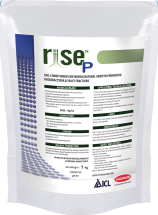 Rise P