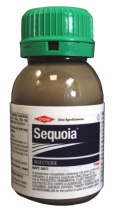 Sequoia™
