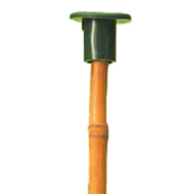 Standard Cane Caps