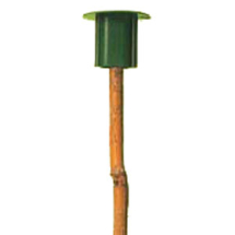 Thin Cane Caps