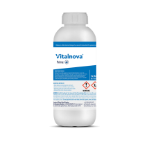 ICL Vitalnova Prime 1L