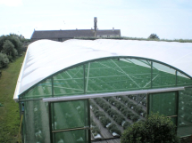 XL Sunmaster Clear Polysheet 14 x 16m 150mu