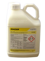 Zinzan
