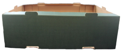 Soft Fruit Punnet Tray - Deep