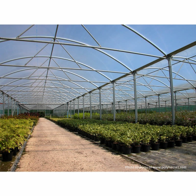 Lumisol Clear Polysheet 14 x 40m