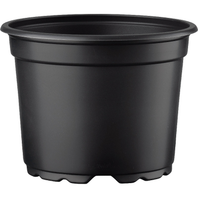 Container Pot 17cm Low